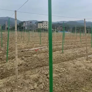 frp plant stake